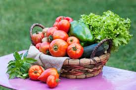 Chemical-free organic vegetables